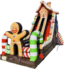 Gingerbread Man Giant Dual Slide 