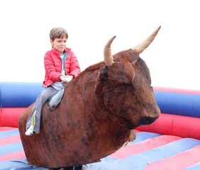 Mechanical Bull Inflatable