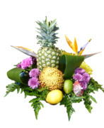 Tropical Theme Flower & Fruit 