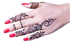 Henna Tattoo Artist 