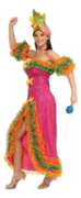 Carmen Miranda Costume