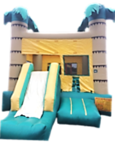 Inflatables - Tropical Bounce House with Slide Combo