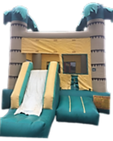 Inflatables - Tropical Bounce House with Slide Combo