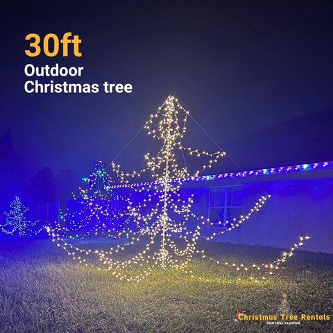 30ft Outdoor Christmas Tree