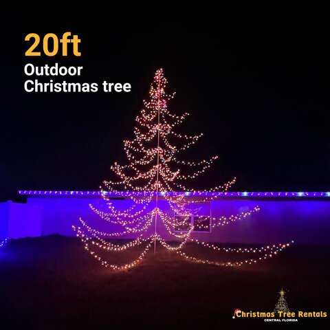 20ft Outdoor Christmas Tree