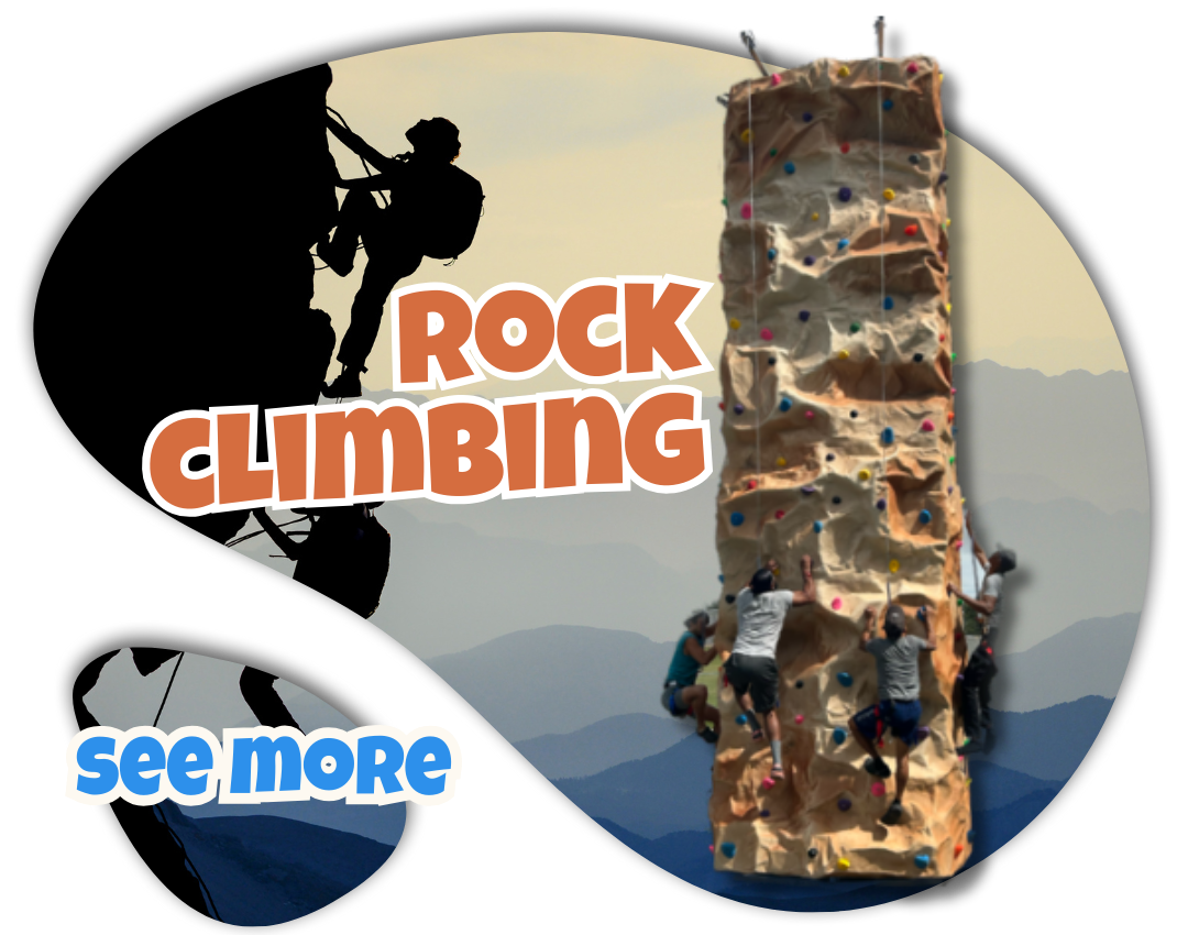 Top Bounce House & Water Slide Rentals in Ocala, FL Premier