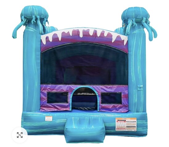 Jellyfish Bounce House 