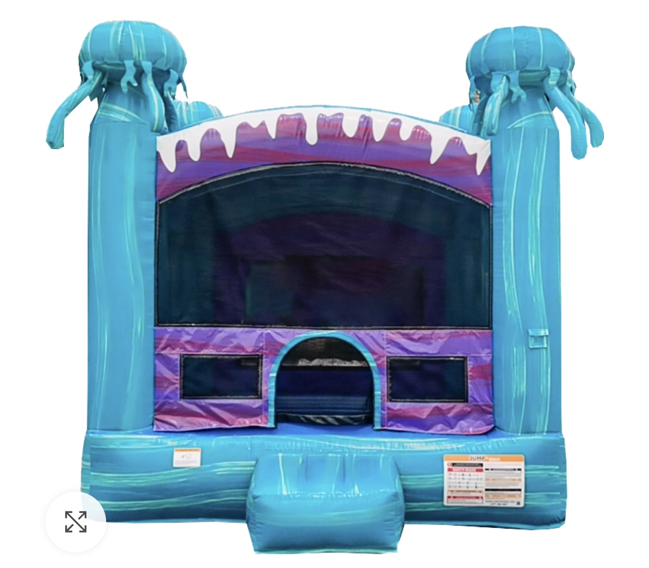 THE Jellyfish Bounce House Rental THE Jellyfish Bounce House Rental