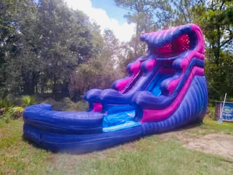 THE Violet Crush Slide Rental THE Violet Crush Slide Rental