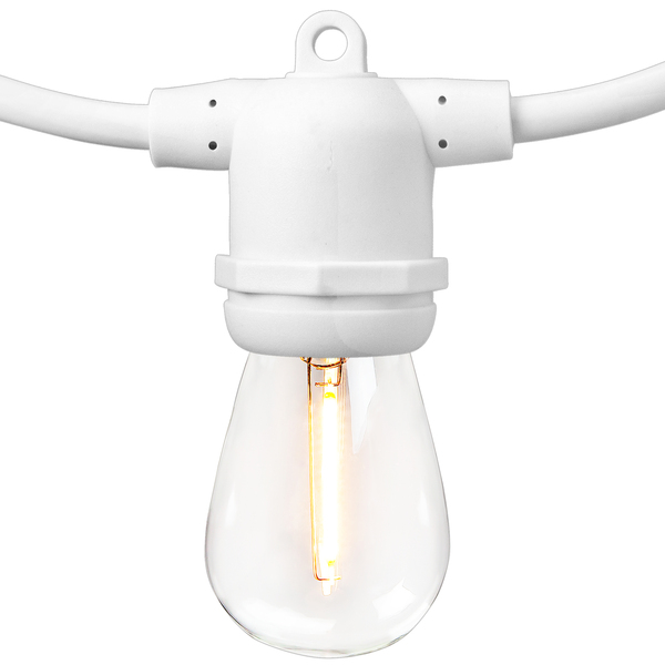 THE White Tent Lights Rental THE White Tent Lights Rental