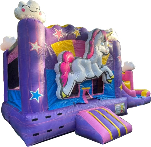 THE Unicorn Combo Wet/Dry Rental THE Unicorn Combo Wet/Dry Rental