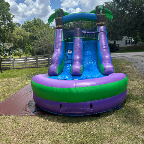 Tropical 12ft Wet/Dry Water Slide