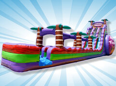 Water Slide Adventures