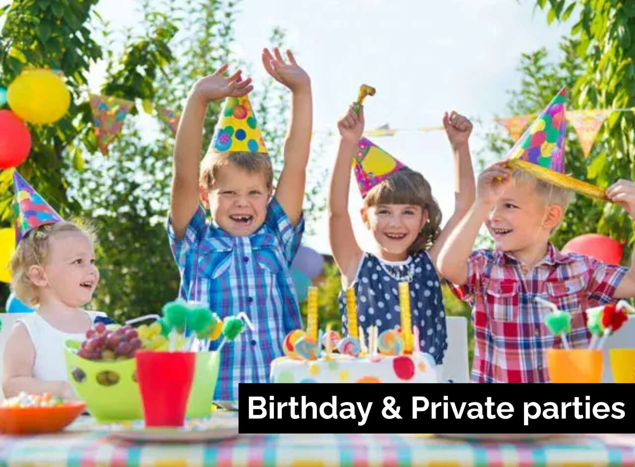 Birthday Party Rental 