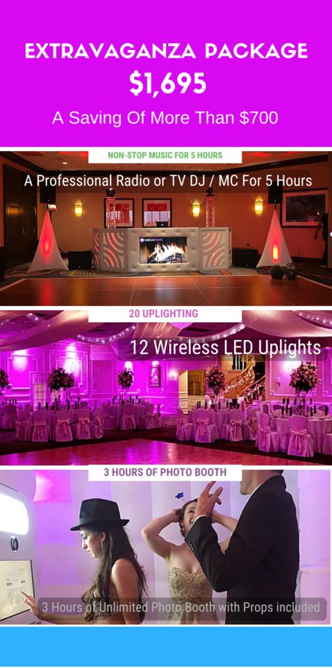 Best Wedding DJ 