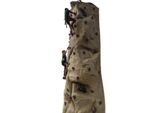 20 Ft. Prehistoric Rock Climbing Wall Rental