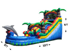 R41 - 16Ft Dolphin Splash Water Slide With XL Pool (Family Friendly) Watch Video Inside