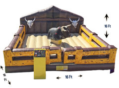 Mechanical Bull <br>Price Display Include Operator and 3 Hours of Service <p><strong><span style='color: #ff00ff;'>Watch Video Inside</span></strong></p>