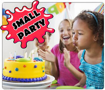 Small Party for 6-12 Create YOUR Party Package $345-425