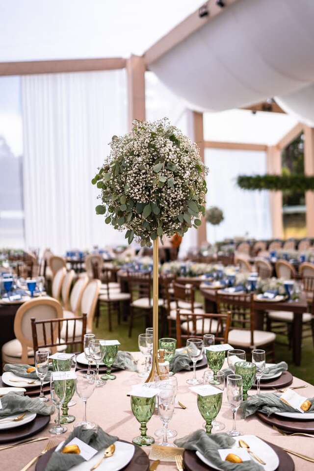 tables and chairs rentals in florida