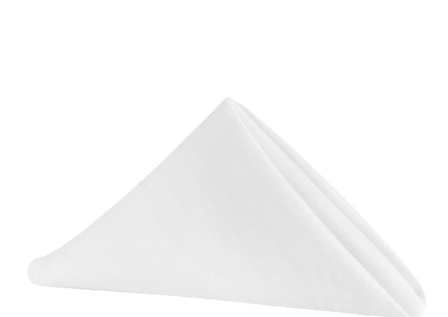 Polyester Napkin White 20