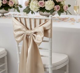 Champagne Chair Sash 