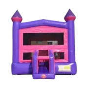 Purple Pink Castle