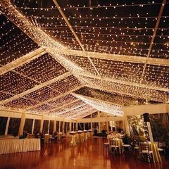 TWINKLE LIGHTS - CUSTOM PACKAGE
