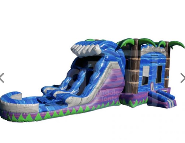 Tsunami Bounce House Combo