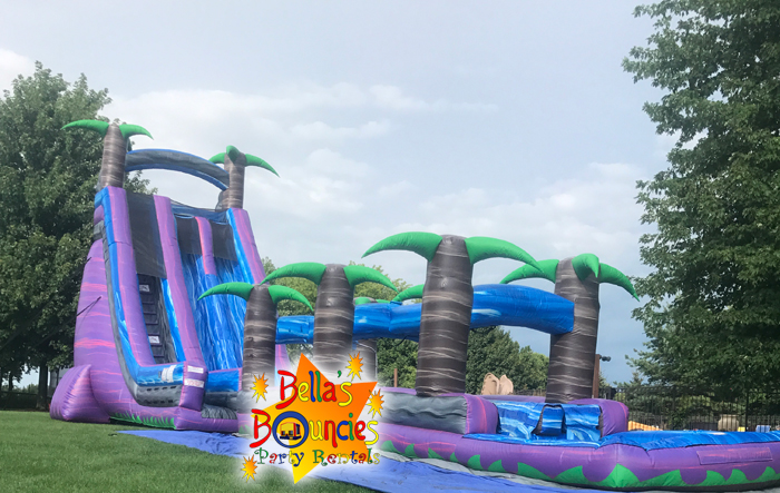 Double Slide Bounce House (NO WATER) - Bounce House Rentals in Pelion, SC