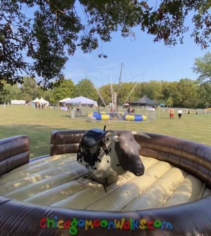 Mechanical bull rental Chicago IL 