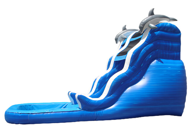 Water Slide Rentals in Chicago Dolphin Rush Wave Waterslide