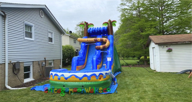 Jungle jaguar water slide rental Chicago IL