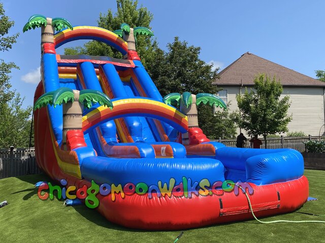 Palm Paradise Dual Lane Inflatable Waterslide Rental in Chicago IL