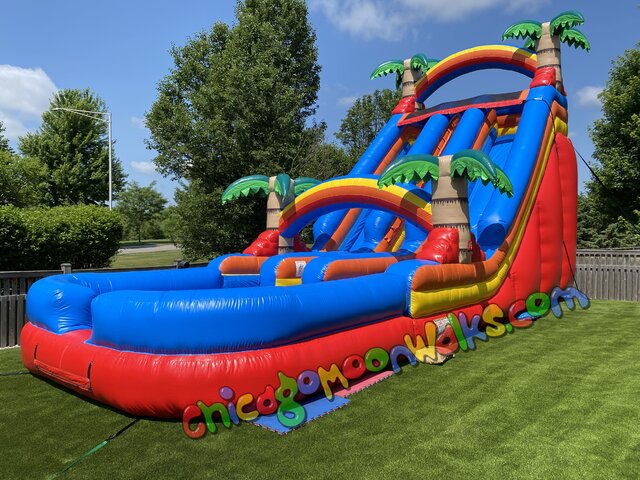 Palm Paradise Dual Lane Inflatable Waterslide with pool Rental in Chicago IL