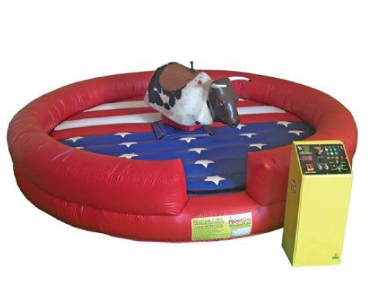 Chicago Mechanical Bull Rental Bars Adult Parties