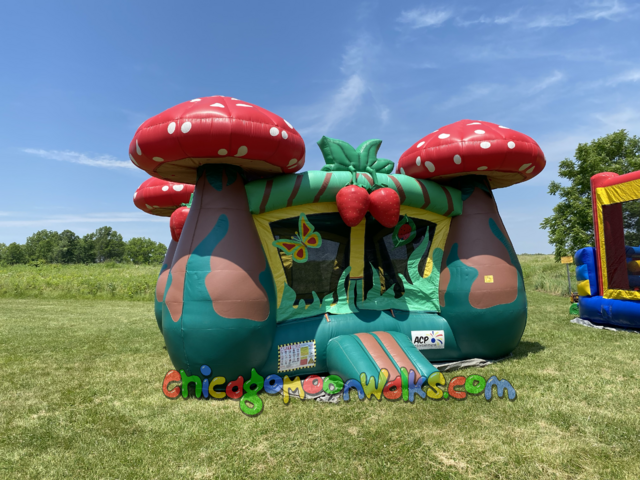 Mushroom magical bounce house rental Chicago IL