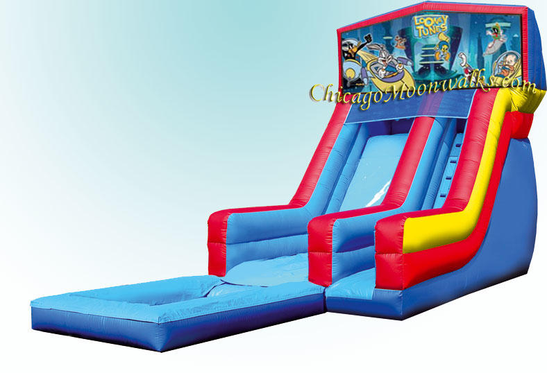 looney tunes pool slide