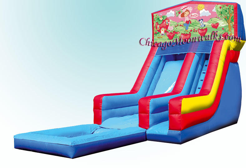 Strawberry Shortcake Water Slide Party Rental Chicago Illinois, Water Slide Rental.