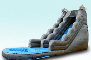 Dolphin Encounter Waterslide 18 ft