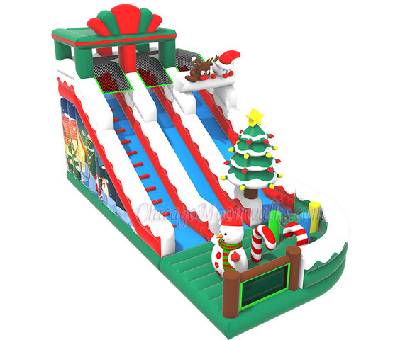 Winter Wonderland Dual Inflatable Slide