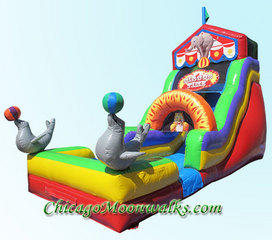 Circus Time Waterslide 18ft