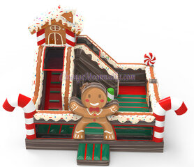 Chocolate Gingerbread Funland Combo