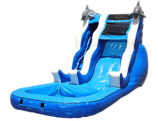 Dolphin Rush Wave Waterslide