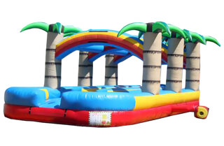 Palm Paradise Dual Lane Slip n Slide