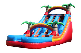 Palm Paradise Dual Lane Waterslide 22 ft