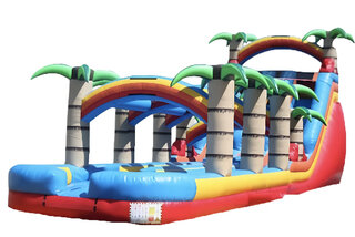 Palm Paradise Dual Waterslide with Pool and Slip n Slide