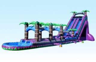 Purple Lightning Dual Water slide with Pool and Slip n Slide