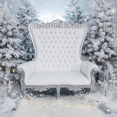 Santa Double Throne Chair Sofa White and Silver