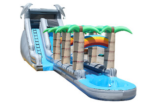 Tropical Rainbow Waterslide with Pool and Slip n Slide